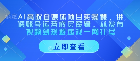 AI高阶自媒体项目实操课，讲透账号运营底层逻辑，从发布视频到规避违规一网打尽-21资源库