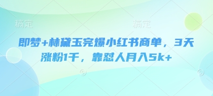 即梦+林黛玉完爆小红书商单，3天涨粉1千，靠怼人月入5k+-21资源库