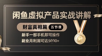 精品！闲鱼虚拟产品实战讲解，新手一部手机即可操作，副业月利润可达5k+-21资源库
