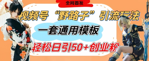 视频号“野路子”玩法，评论区疯狂截流，一套模板单日单号引流50+创业粉-21资源库