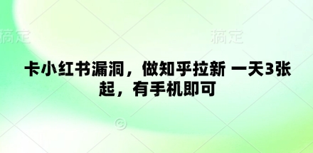 卡小红书漏洞，做知乎拉新 一天3张起，有手机即可-21资源库