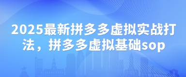 2025最新拼多多虚拟实战打法，拼多多虚拟基础sop-21资源库