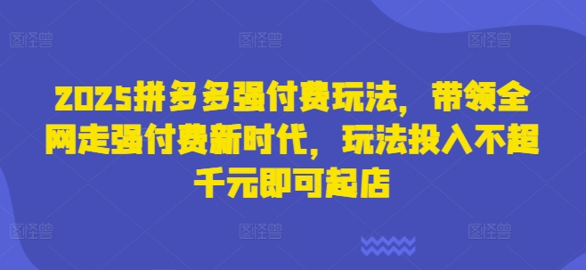 2025拼多多强付费玩法，带领全网走强付费新时代，玩法投入不超千元即可起店-21资源库