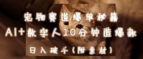 宠物赛道爆单秘籍：AI+数字人10分钟造爆款，日入1k-21资源库