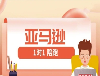 亚马逊1对1陪跑课(FBA/FBM精铺)跨境亚马逊教程-21资源库