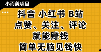 小而美的项目，抖音小红书B站视频点赞、关注、评论就能挣钱，简单无脑立见收益，妥妥的零撸项目【揭秘】-21资源库