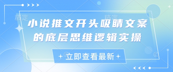 小说推文开头吸睛文案的底层思维逻辑实操-21资源库