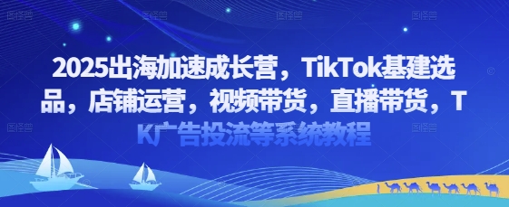 2025出海加速成长营，TikTok基建选品，店铺运营，视频带货，直播带货，TK广告投流等系统教程-21资源库