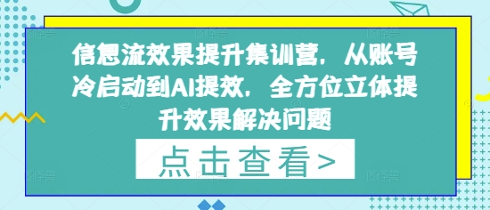 信息流效果提升集训营，从账号冷启动到AI提效，全方位立体提升效果解决问题-21资源库