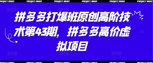 拼多多打爆班原创高阶技术第43期，拼多多高价虚拟项目-21资源库