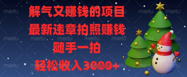 解气又挣钱的项目，最新违章拍照挣钱，随手一拍，轻松收入数张【揭秘】-21资源库