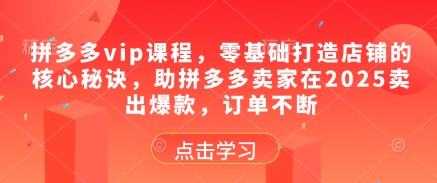 拼多多vip课程，零基础打造店铺的核心秘诀，助拼多多卖家在2025卖出爆款，订单不断-21资源库