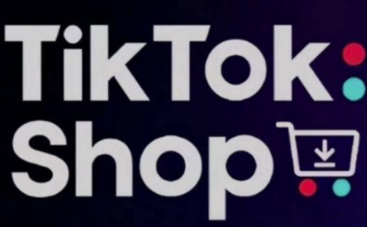 TikTokShop跨境电商0-1实战，手把手教你低成本启动海外市场（更新）-21资源库