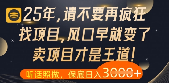 什么？25年你还在疯狂找项目做，醒醒吧，看完这些你全都懂了【揭秘】-21资源库