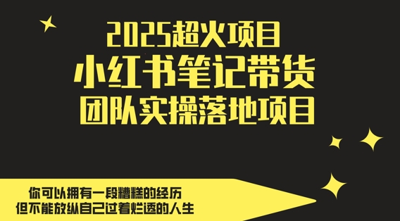 2025超火项目，副业最佳选择，小红书笔记带货团队实操落地项目，，轻松日入5张-21资源库