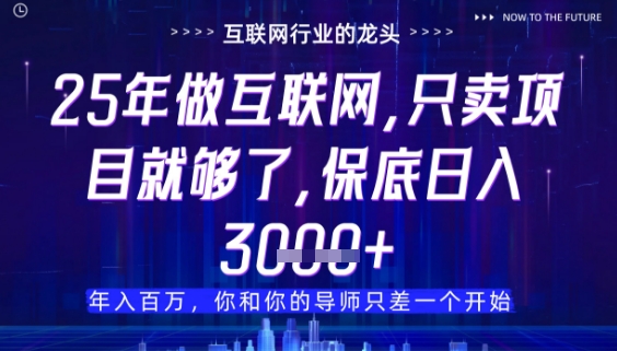 什么！25年你还在找项目做？风口早就变了，卖项目才是稳挣不赔【揭秘】-21资源库