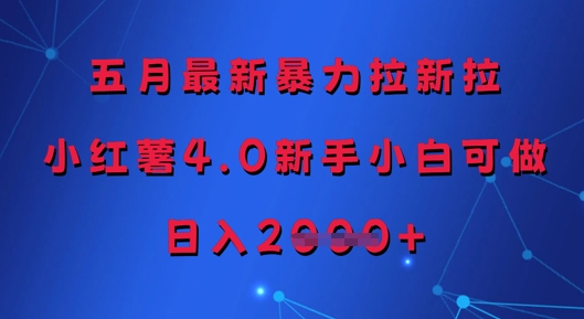 五月最新暴力拉新拉，小红薯4.0新手小白可做，日入多张-21资源库