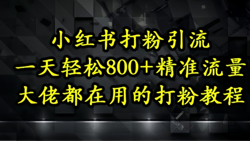 小红书打粉引流，一天轻松500+精准流量，大佬都在用的打粉教程-21资源库