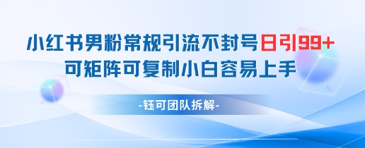 小红书男粉常规引流不封号日引99+变现简单 可矩阵可复制小白容易上手-21资源库