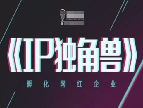 IP独角兽，孵化网红企业，ip教程-21资源库