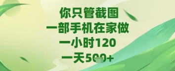 你只管截图，一部手机在家做，苹果安卓都可以，一天5张+【揭秘】-21资源库
