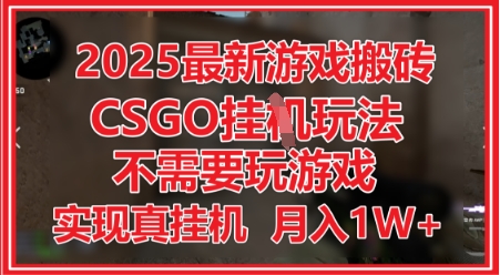 2025最新游戏搬砖，CSGO挂G，不需要玩游戏，实现真挂G，月入1W+【揭秘】-21资源库