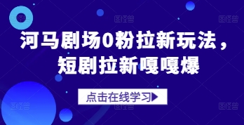 河马剧场0粉拉新玩法，短剧拉新嘎嘎爆-21资源库