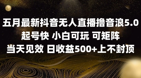 2025五月最新无人直播撸音浪单日产出5张+实操教程【揭秘】-21资源库