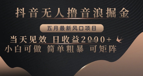 抖音无人撸音浪掘金，五月最新风口项目，当天见效，日收益多张，小白可做简单粗暴可矩阵【揭秘】-21资源库