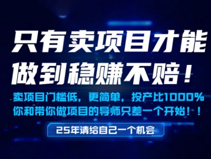 只有卖项目才能做到稳挣不赔，门槛低，更简单，你也可以年入百个W【揭秘】-21资源库