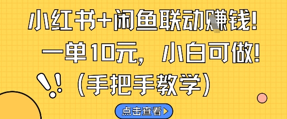 小红书+闲鱼联动挣钱，一单10元，小白可做-21资源库