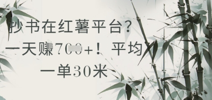 抄书在小红薯平台？平均一单30米，一天收益几张！-21资源库