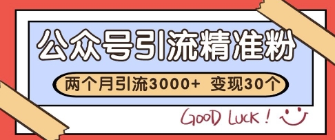 2025游戏全自动掘金，无需人工，解放双手日入1k+可矩阵【揭秘】-21资源库