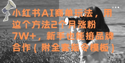 小红书AI商单玩法，用这个方法2个月涨粉7W+，新手也能接品牌合作(附全套指令模板)-21资源库