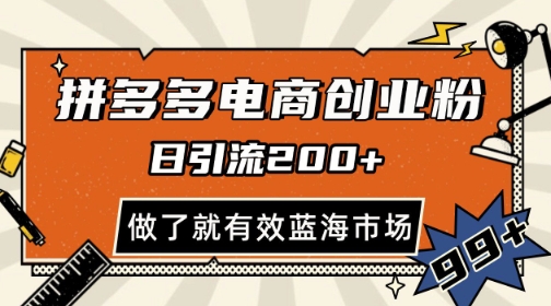 拼多多引流电商创业粉，日引200+，可矩阵放大，做了就有效【揭秘】-21资源库