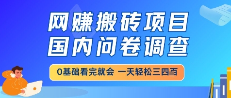 网创搬砖项目，国内问卷调查，小白轻松上手，一天三四张的也不难，干就完了【揭秘】-21资源库