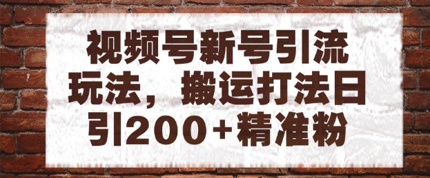 视频号新号引流玩法，搬运打法日引200+精准粉，可矩阵放大【揭秘】-21资源库