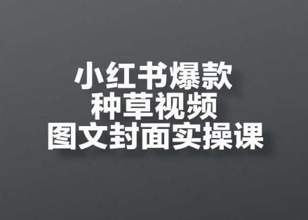 小红书爆款种草视频图文封面实操课，​开店、选品、引流、变现全流程-21资源库