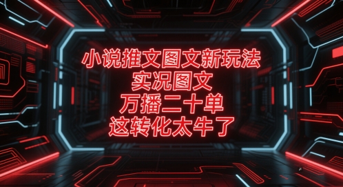 小说推文图文新玩法，实况图文，万播二十单，这转化太牛了！-21资源库