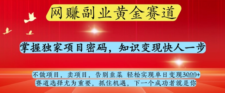 网创副业黄全赛道，掌握独家项目密码，知识变现快人一步，告别韭菜轻松实现单日变现1k+【揭秘】-21资源库