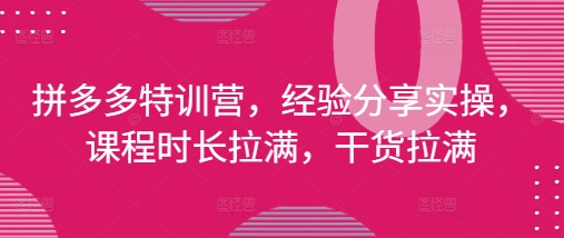 拼多多特训营，经验分享实操，课程时长拉满，干货拉满(更新25年4月)-21资源库