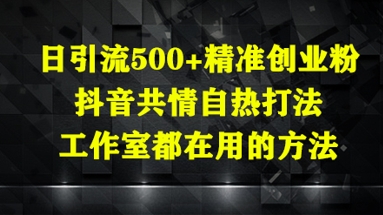 日引流500+精准创业粉，抖音共情自热打法，工作室都在用的方法-21资源库