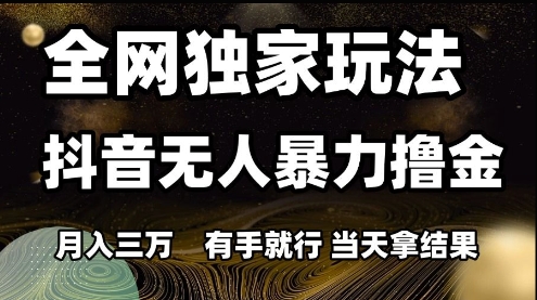 全网独家玩法抖音无人暴力撸金，月入3W，有手就行，当天拿结果【揭秘】-21资源库