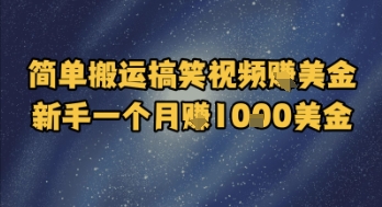 简单搬运搞笑视频挣美金，新手一个月入1k美金-21资源库