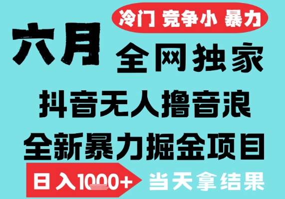 2025年6月高爆抖音无人直播最新撸音浪掘金项目，无脑日入1k+，低门槛小白可做，可矩阵放大【揭秘】-21资源库
