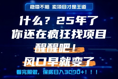 什么？25年你还在疯狂找项目做，醒醒吧，看完这些你全都懂了！【揭秘】-21资源库