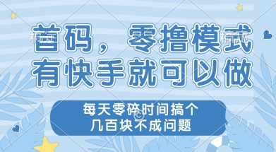 首码零撸项目，有快手就可以做，每天业务时间搞个几张不是问题【揭秘】-21资源库