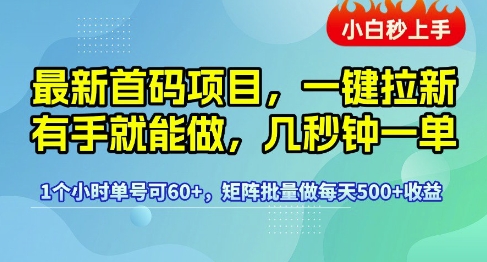 最新首码项目，一键拉新有手就能做，几秒钟一单，1个小时单号可60+，矩阵批量做每天5张【揭秘】-21资源库