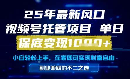 25年最新风口，视频号托管项目，单日保底变现1k+，手把手教学【揭秘】-21资源库