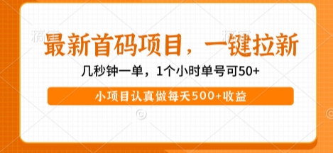 最新首码项目，操作最简单，收益高，一键拉新，1个小时单号可50+，小项目认真做每天5张+收益【揭秘】-21资源库